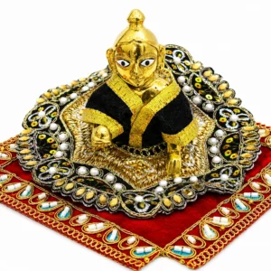 Black & Gold Premium Velvet Laddu Gopal Poshak